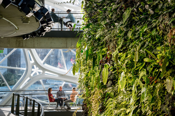 07101065_03_Amazon_Spheres_N9_large.jpg